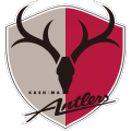 Kashima Antlers - logo